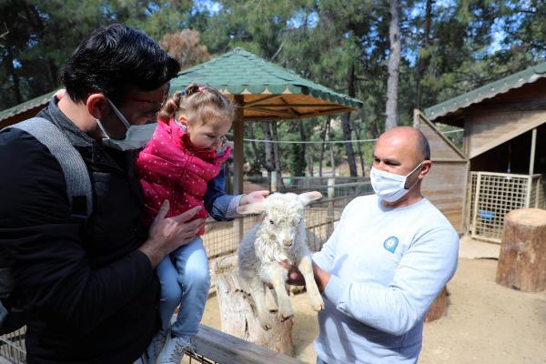 Antalya Hayvanat Bahçesi’nde yeni yavru sevinci