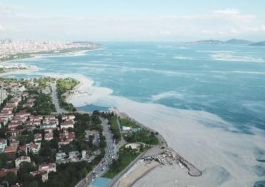 Müsilaj Caddebostan’a geri döndü