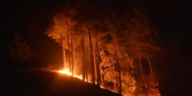 Antalya’da bir yangın daha! Geniş bir alana yayıldı